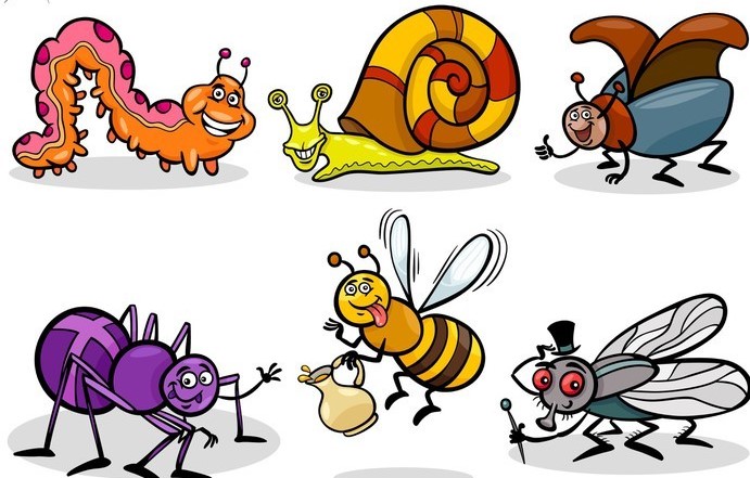 happy insects set cartoon illustration